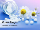 PowerPoint Template - Chamomile flower and homeopathic medication on blue surface
