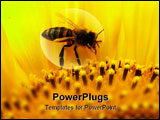 PowerPoint Template - The flowers of sunflower are given by a lot of pollen and nectar.