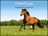 PowerPoint Template - running chestnut horse