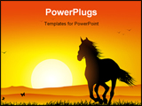 PowerPoint Template - a wild horse running at sunset in a meadow