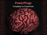 PowerPoint Template - Human brain oblique image with reflection on black surface and background