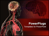 PowerPoint Template - 3d rendered anatomy illustration of a human body shape with heart and brain