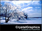 PowerPoint Template - Trees touched with snow and light.