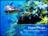 PowerPoint Template - shark swimming over reef with fish
