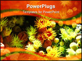 PowerPoint Template - multi colorful anemone in an exotic aquarium and bright light