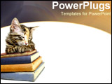 PowerPoint Template - Kitten curled on stack of books.