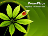 PowerPoint Template - Ladybug sitting on a green leaf. Isolated on white background
