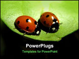 PowerPoint Template - Two ladybugs hanging out together on a leaf