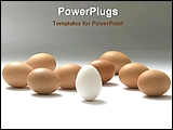 PowerPoint Template - the white egg among with golden eggs