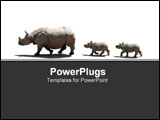 PowerPoint Template - Family of rhinocerous walking in line.