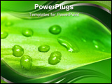 PowerPoint Template - a lucky bamboo leaf with water drops
