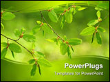 PowerPoint Template - green leaves background in a sunny day