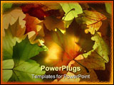 PowerPoint Template - A selection of autumn leaves which are backlit.