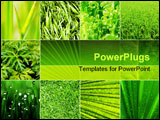PowerPoint Template - Collage nature green background