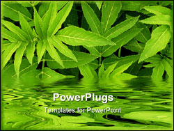 PowerPoint Template - Green leafs background please visit my portfolio for similar photos