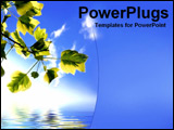 PowerPoint Template - 