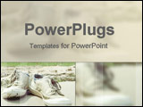 PowerPoint Template - Sneakers for that vacation feeling