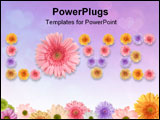 PowerPoint Template - Beautiful border ( frame ) from gerberas for your spring designs