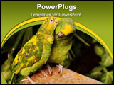 PowerPoint Template - A yellow-crowned parrot teasing at its partner.