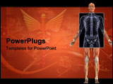 PowerPoint Template - 3d render of a man showing muscular anatomy with an x-ray of the torso region.