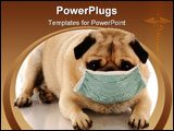 PowerPoint Template - Sick or contagious pug wearing a medical mask