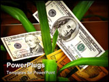 PowerPoint Template - Dollar bills on green flower. Money flower
