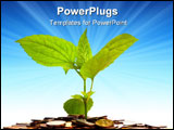 PowerPoint Template - Concept of a plant and a lot of coins isolated on white background