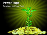 PowerPoint Template - The plant money to the success of profit