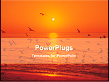 PowerPoint Template - birds flying in beach at the moment of sunset