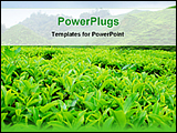 PowerPoint Template - view of a tea garden