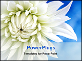 PowerPoint Template - a white flower is blooming