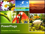 PowerPoint Template - different pictures of nature