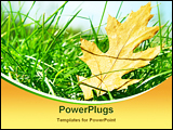 PowerPoint Template - Oak leaf in the grass against a blue sky