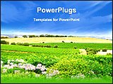 PowerPoint Template - a view of a green pretty vineyard
