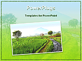PowerPoint Template - image showing rice field
