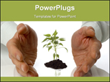 PowerPoint Template - Business men holding a plant between hands on white