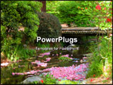 PowerPoint Template - A beautiful aspect from a Japanese park in spring