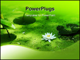 PowerPoint Template - Water lily and duckweed in green pond