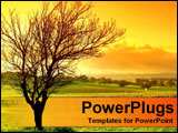 PowerPoint Template - sunset with tree