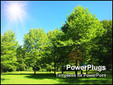 PowerPoint Template - Green park with sunbeam in summer Munich
