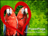 PowerPoint Template - 2 tropical parrots at feeder in Mexico