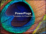 PowerPoint Template - close-up photo of a peacock feather