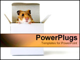 PowerPoint Template - Little hamster in a box