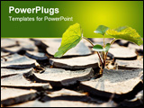 PowerPoint Template - Plant fighting drought as a metaphor for hope or determination