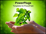 PowerPoint Template - Plant in woman hands isolated over white background