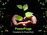 PowerPoint Template - hands plant and soil showing concept of growth