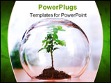 PowerPoint Template - Protected green plant inside a glass sphere