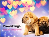 PowerPoint Template - Two shar-pei puppies in love