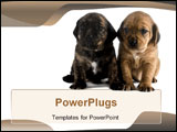 PowerPoint Template - a image of two cute puppies brothers