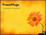 PowerPoint Template - yellowed retro background with flower motive